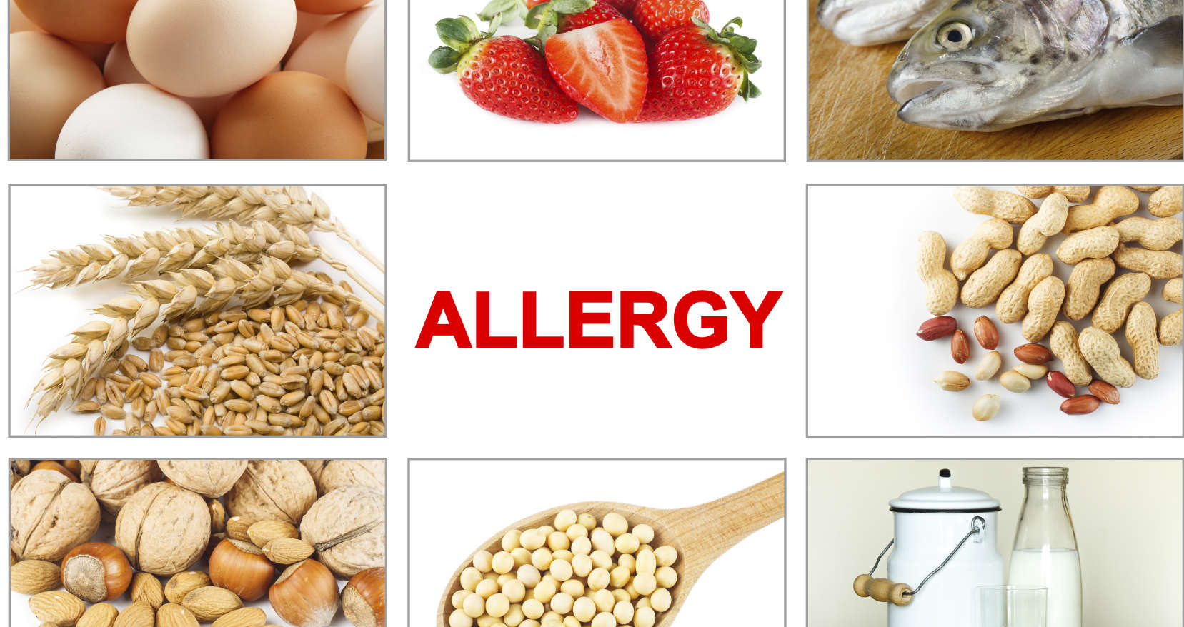 Food Allergy Action Month