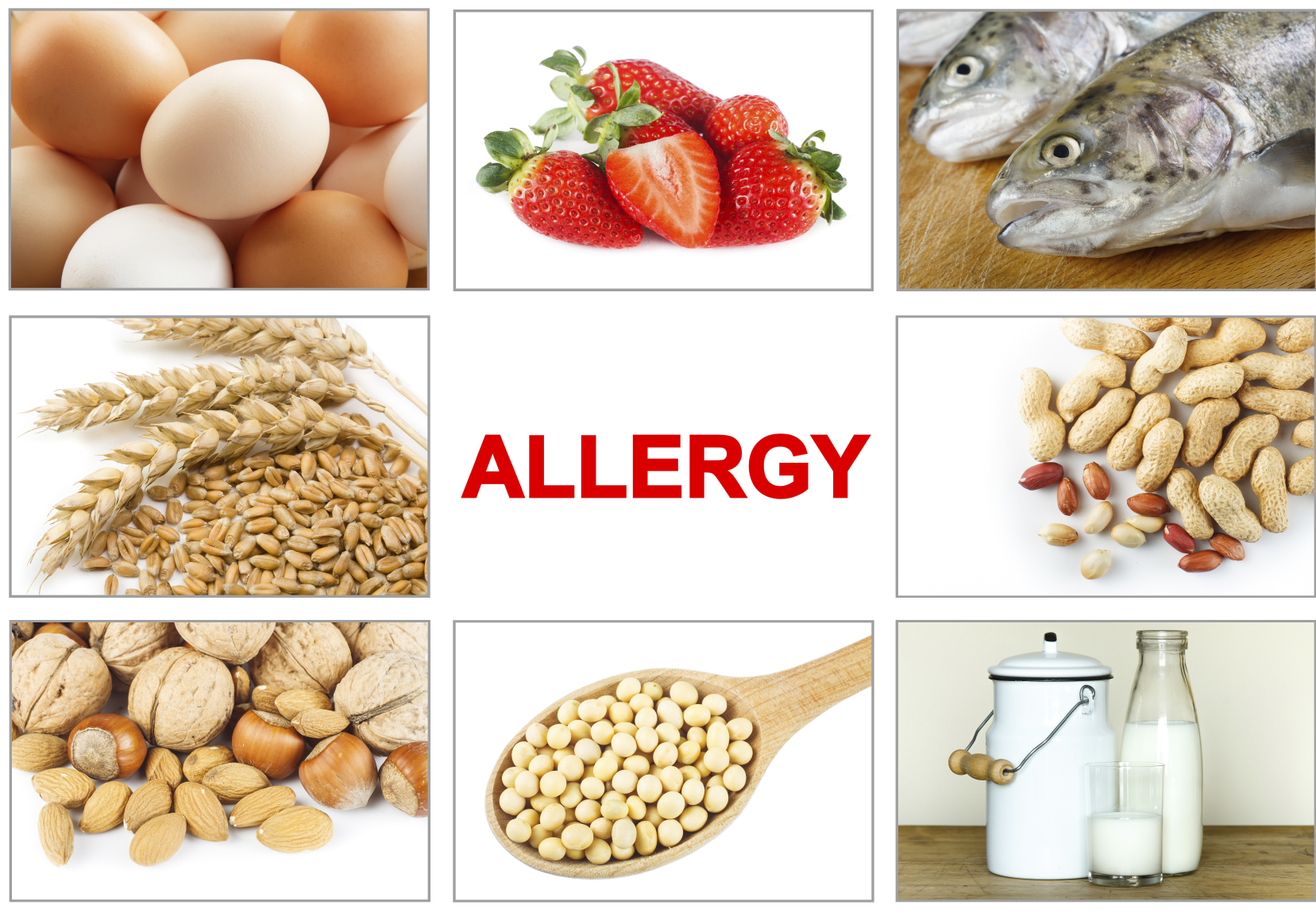 Food Allergy Action Month