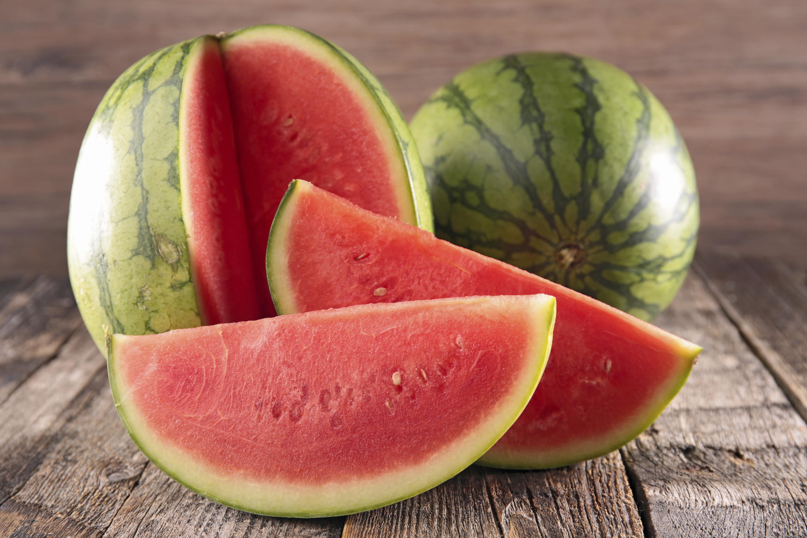 drought resistant watermelon