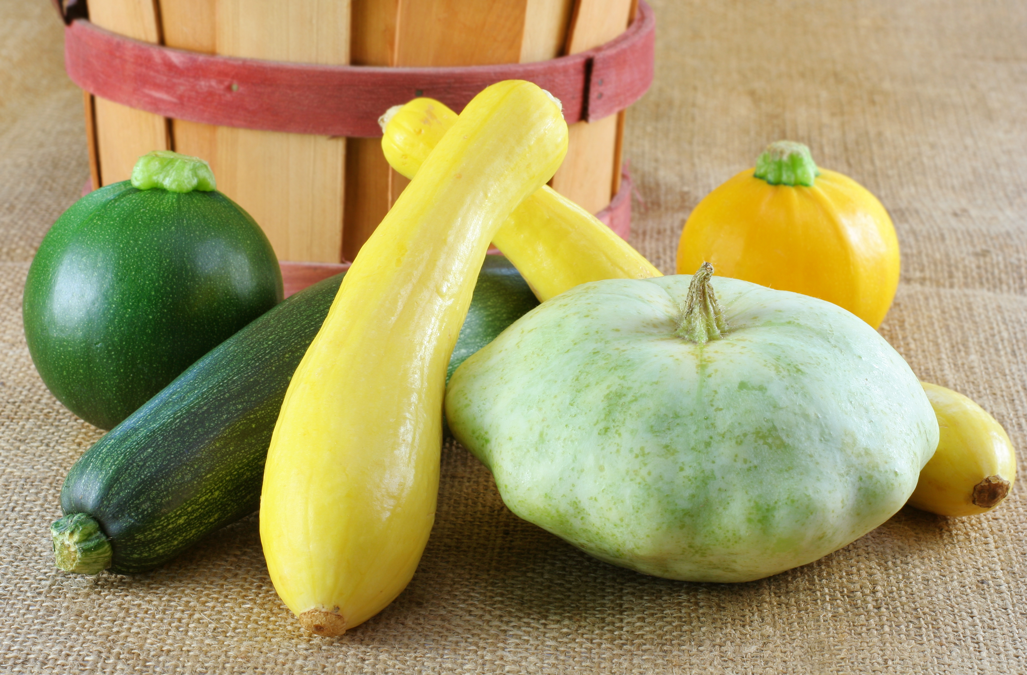 Winter and Summer Squash the difference