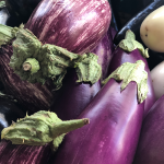 eggplant-thrive!-sized-eggplants-IMG_4217 2