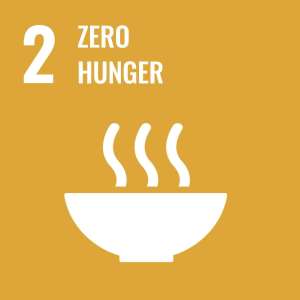 UN SDG 2 Zero Hunger Icon End hunger