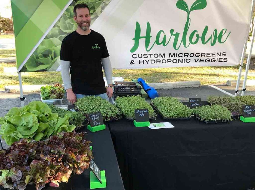 smiling man standing in his famers market stand, Harlowe Custom Microgreens